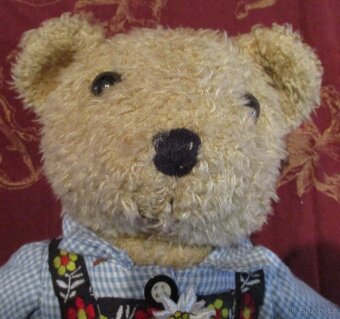 2X STARÝ MEDVÍDEK - 2