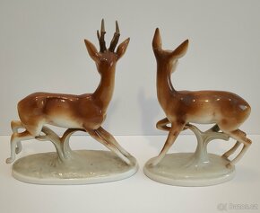 Srnka a srneček - 2