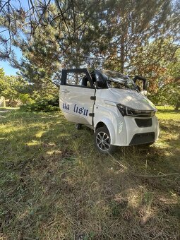 elektro pick up mini auto - 2