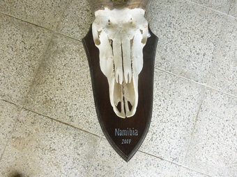 Kudu - 2