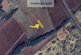 Prodej pole v k.ú. Veltrusy - 2