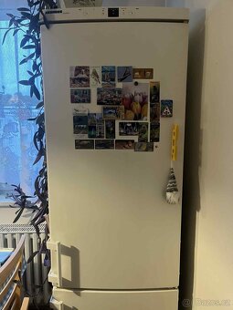 Lednice s mrazákem LIEBHERR 195 cm - 2