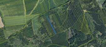 Prodám lesní pozemek v k.ú. Hradiště u Domažlic - 2