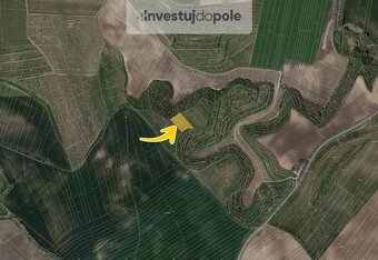 Prodej ovocného sadu v k.ú. Kobylí na Moravě - 2
