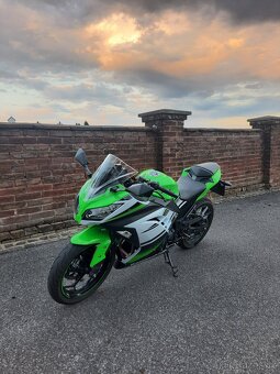 Kawasaki Ninja 300 30th anniversary edition - 2