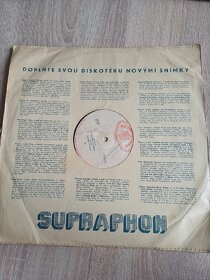 Prodám originální gramofonové desky (LP), [G] - 2