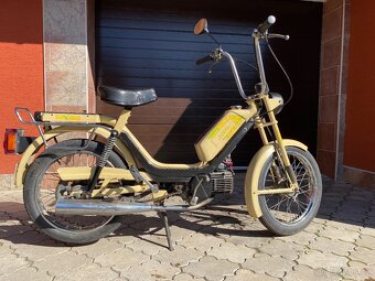 BABETA 210 - žluté barvy - 2