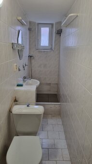 Pronájem být 2+1 / prostor volný ihned - 2