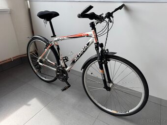 Alpina Eco C10 - 2