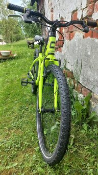 Core Nipper 24" - 2