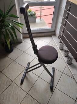 Víceúčelová židlička LEIFHEIT - 2