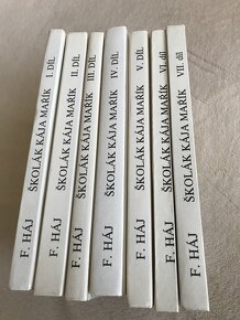 Školák Kája Mařík F.Háj - 2