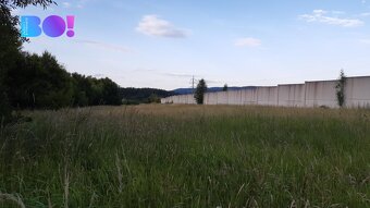 Prodej pole Zlatá u Kynšperka nad Ohří - 2