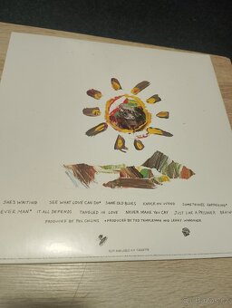 LP Eric Clapton Behind The Sun 1985 Japan - 2