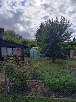 Pronajmu zahradu - 2