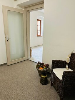 Pronájem nově zrekonstruovaného bytu - 2