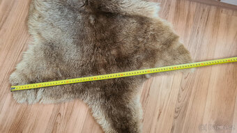 Pravá klokaní kožešina z Austrálie (5) - 2