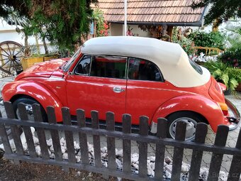 VW brouk Cabrio - 2