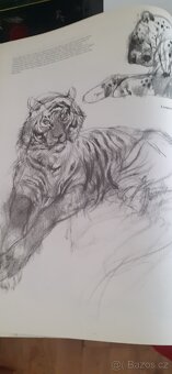 Drawing Animals kreslení  zvířat - 2