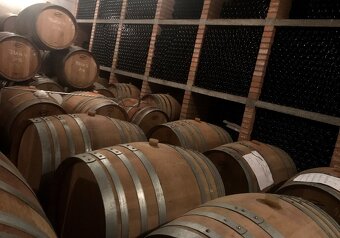 Pozemek Vinice, Jižní Morava. - 2
