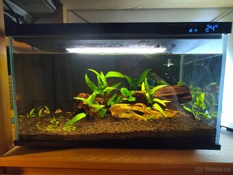 Xiaomi Mijia Smart Fish Tank MYG100 - nové akvarium 20l - 2
