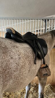 Skokové sedlo Prestige Elastic Professional Posedlí 17/32 - 2