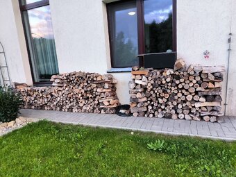 Palivové tvrdé driví buk,dub SPĚCHÁ - 2