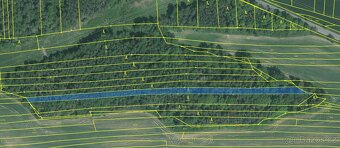 Prodám lesní pozemky v k.ú. Hradiště u Domažlic - 2