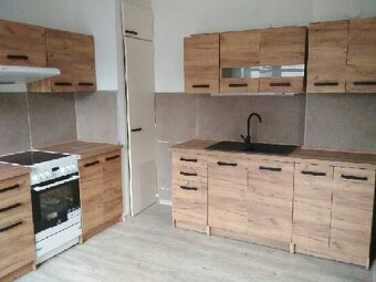 Pronajmu byt 2+1 - 2