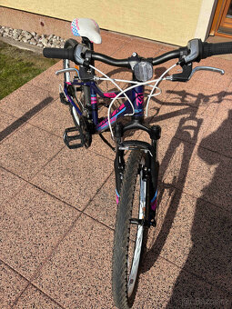 Rock Machine Catherine 24" - 2