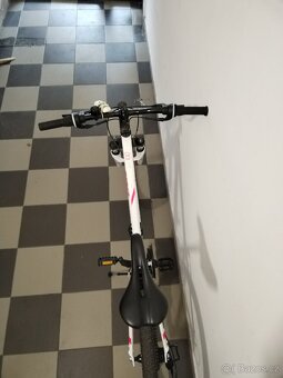 Rock Rider - 2