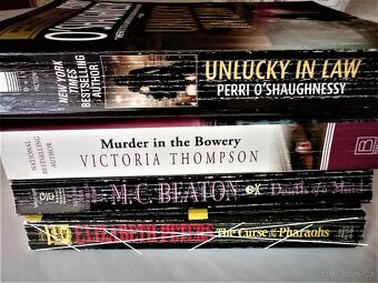 "Bestsellers" - kriminální thrillers v angličtině - 2