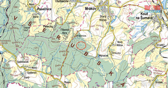 Prodej lesa, 3522 m², Mrákov - 2