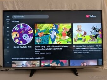 Panasonic TX-42AS600E,107cm,Full HD,Smart+Wifi - 2