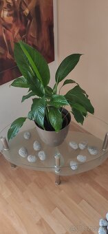 Skleněný stůl - 2