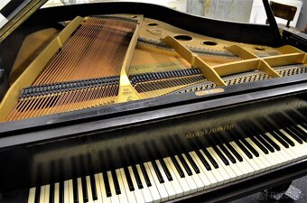 AUGUST FÖRSTER - AKČNÍ SLEVA 30 000Kč - 2