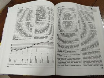 HUDOBNÝ TERMINOLOGICKÝ SLOVNÍK--Jozef Laborecký--počet strán - 2