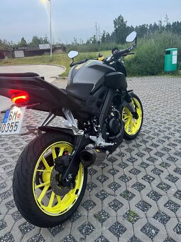 Yamaha Mt 125 (fluo) - 2