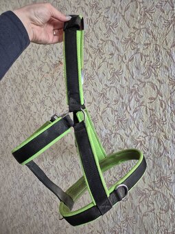 Manmat ohlávka M - 2