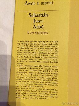 Cervantes - Sebastián Juan Arbo - 2
