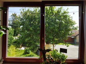 Kvalitní okno (borovice fix) - 2