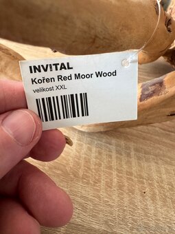 Kořen Red Moor wood XXL - 2