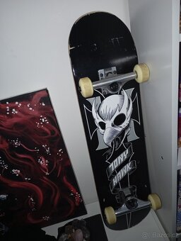 Birdhouse skateboard - 2