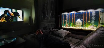 Vybavené akvarium - 2