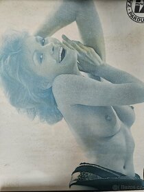 POPTÁVKA - staré kalendáře, plakáty s modelkami - 2