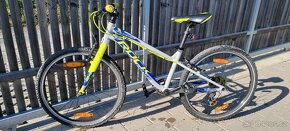 ROCK MACHINE THUNDER 24" - 2