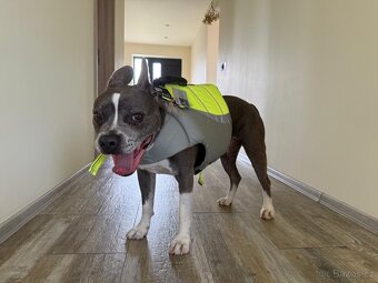 Záchranná vesta pro psa - 2