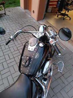 Honda VT 750 Shadow - 2