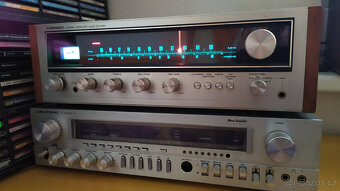 Pioneer vintage - 2