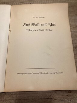 Walter Nöldner - 2